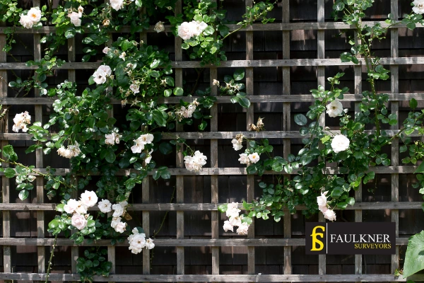 Can I put trellis on my Neighbours garage wall? 2 Do you want to adapt your neighbours garage door and add a trellis Beckenham? Talk to Faulkner Surveyor Beckenham